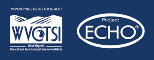 Image of WVCTSI and Project ECHO logos side by side